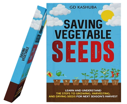 Ghostwriters In Auckland